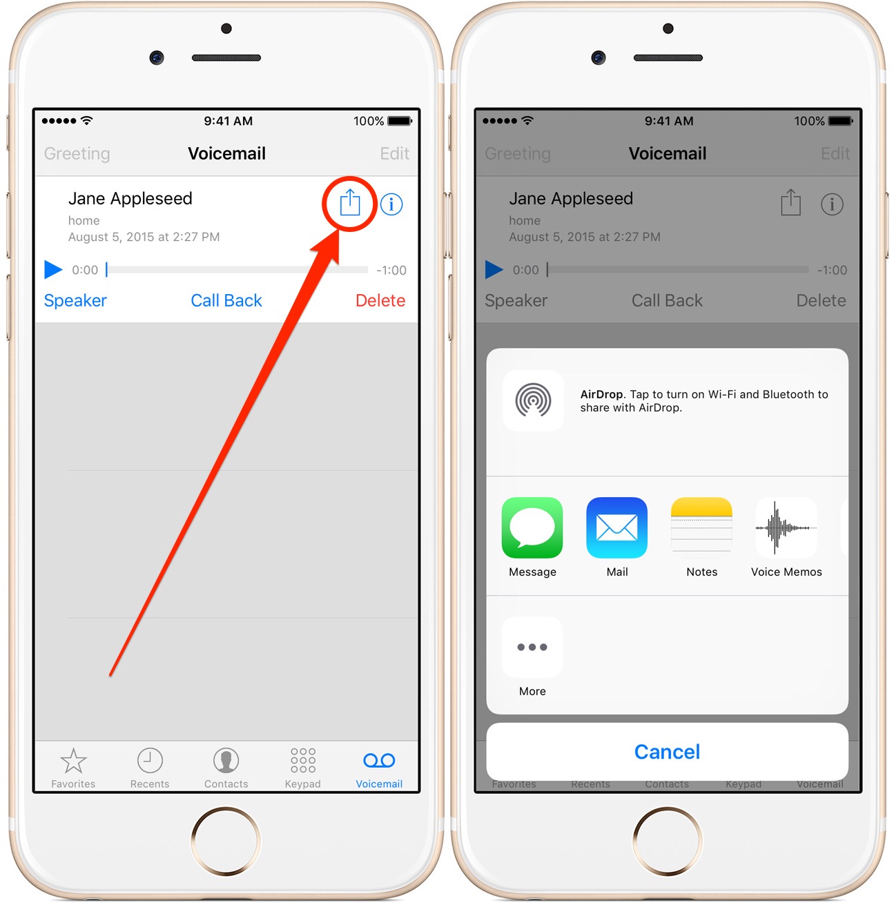 How To Forward A Voicemail On iPhone or Save VoiceMail on iPhone