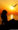 Romantic HD Wallpapers for Mobile
