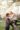 Romantic HD Wallpapers for Mobile