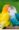 birds HD wallpapers for mobile