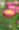 hd wallpaper download for android phone