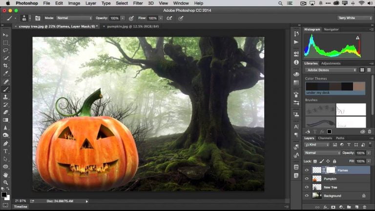 animation programs for beginners mac