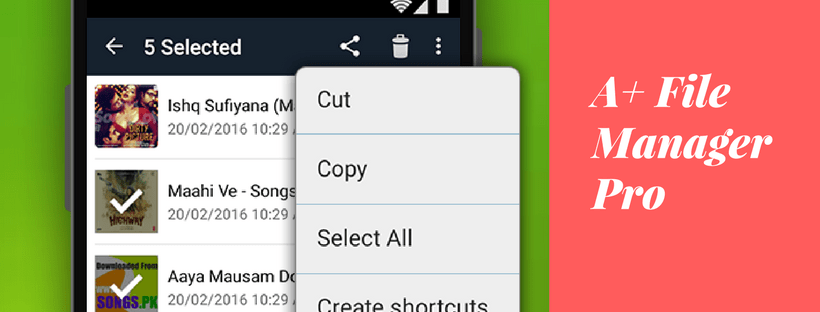 A+ File Manager Pro