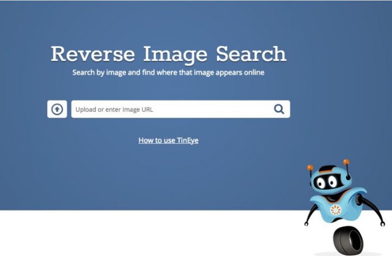 reverse image search online