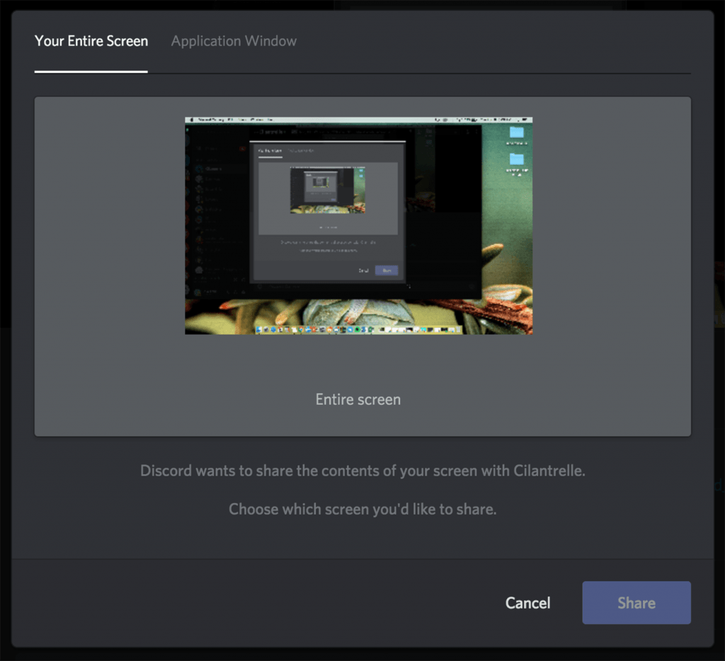 How to share your screen on Discord