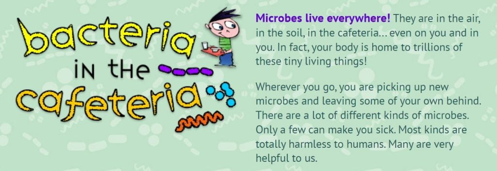 Bacteria Interactive