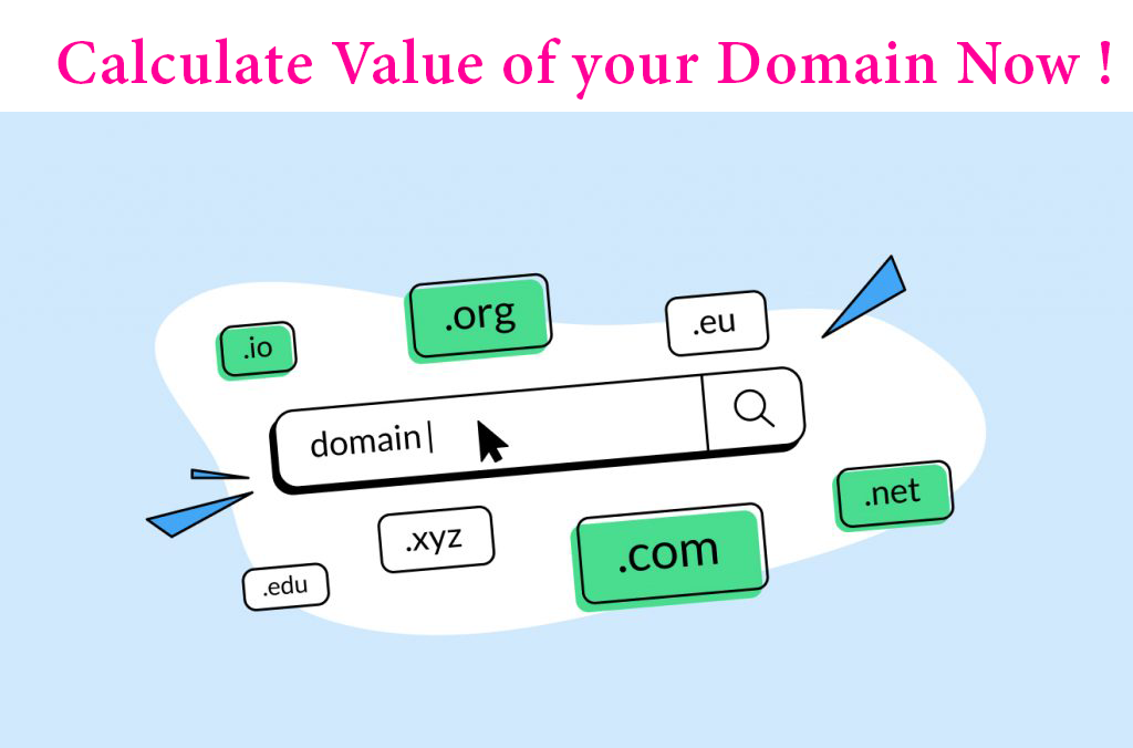 Value of your Domain