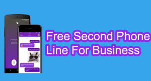 Second Phone Line For Business